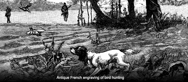 Antique engraving of bird hunting with hunters, a dog, and birds in a wooded landscape.